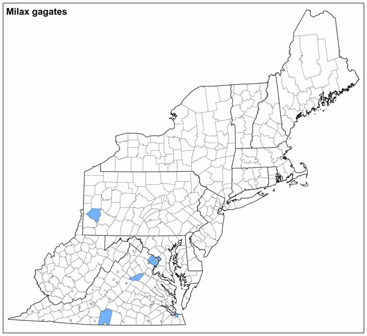 Milax gagates Range Map